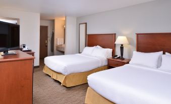 Holiday Inn Express & Suites Sioux Falls at Empire Mall