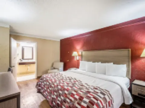Red Roof Inn Tampa Bay - St. Petersburg Hotels in Lealman
