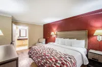 Red Roof Inn Tampa Bay - St. Petersburg Hotel di Pinellas Park