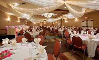 Holiday Inn & Suites Minneapolis - Lakeville