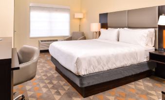 Holiday Inn & Suites Dallas-Addison