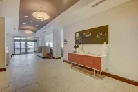 Holiday Inn Express & Suites Tampa -USF-Busch Gardens