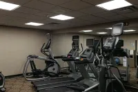 Holiday Inn Express & Suites OLATHE NORTH by IHG - Gym