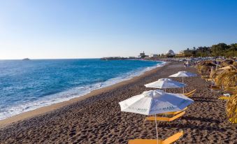 Aquamare City and Beach - Housity