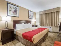 Econo Lodge Hotels in Taber