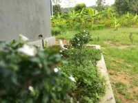 Lake Bliss Hotels in Inamaluwa