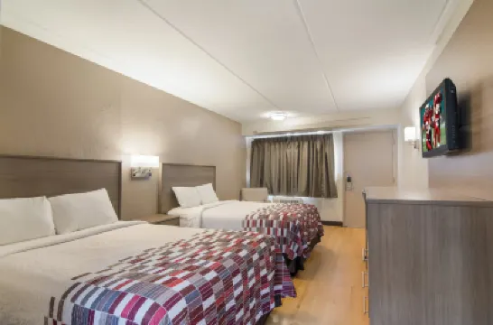 Red Roof Inn Durham - Triangle Park Hotels in 