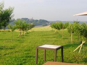 Agriturismo 'Il Balcone sul Monferrato'