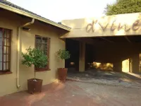 D Vine Guest House