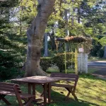 Montville Holiday Apartments Hotels in Montville
