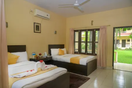 Hotel Rainforest