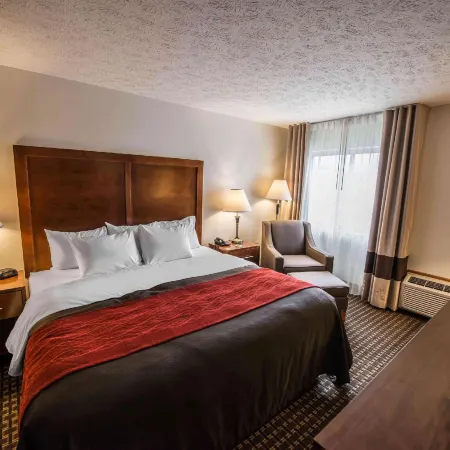 Comfort Inn Atkins-Marion I-81