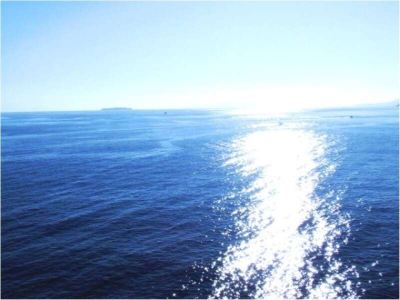 ホテル周辺 ホテルリゾーピア熱海の写真