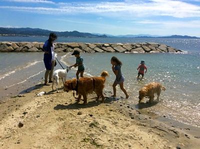 ホテル周辺 北条水軍ユースホステルの写真