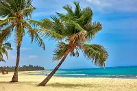 Jacaranda Indian Ocean Beach Resort - Ocean View