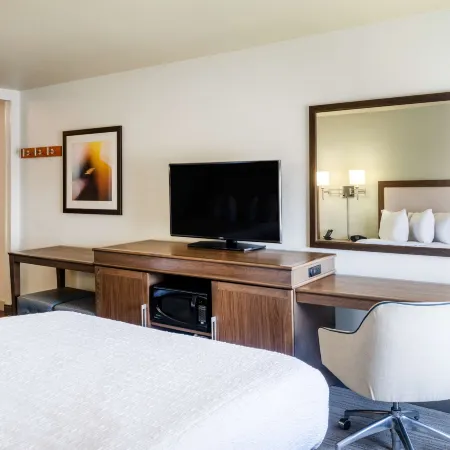 Hampton Inn Irvine/East Lake Forest