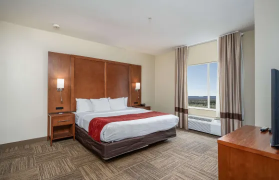 大學城舒適套房酒店