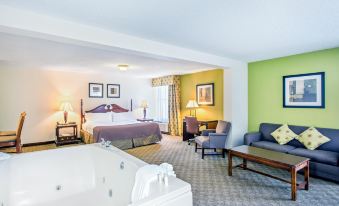 Holiday Inn Roanoke-Tanglewood-RT 419&I581