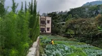 Villa pondok nuansa 2 Hotel di Pacet