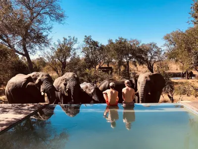 Honeyguide Tented Safari Camp - Khoka Moya Hoteles cerca de Kruger National Park