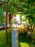 Albergo 'La Vigna' - Haustierfreundliche