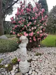 B&B le Palme Hotel in zona Oratorio di Abbiate Guazzone