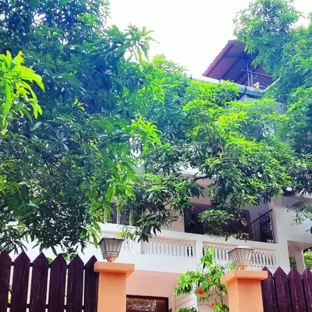 Kevins Bed & Breakfast Отели рядом с достопримечательностью «Музей Леса и Чатем-Милл»