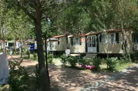Badiaccia Village Camping Hôtels à : Tuoro sul Trasimeno