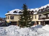 Apartmán 611 Hotel in zona Sportovní areál Harrachov, a.s.