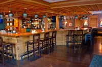 The Essex Resort & Spa - bar