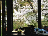 Kakureisen - Scenic