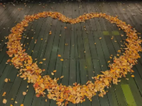 Cheongdo Provence Glamping Hotels in Cheongdo-gun