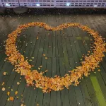 Cheongdo Provence Glamping Hotels in Cheongdo-gun