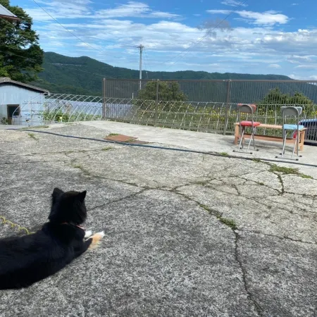 Farmer's Inn Nakajima