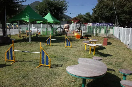 Mungyeong Pet Gramping Gentlepet Paradise