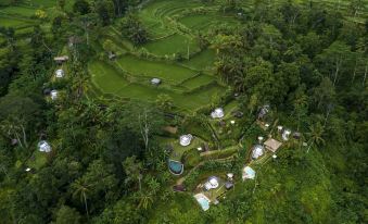 Bubble Hotel Bali Ubud - Adults Only