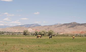 Updated Main St Apt Near Fishlake and Capitol Reef!