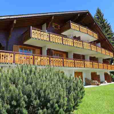 Sapin Bleu 5 Hotel Exterior