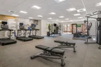 SpringHill Suites Phoenix Glendale Sports & Entertainment District - Gym