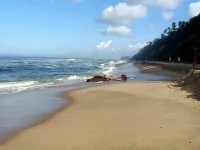 Gypsy Walker - sul mare