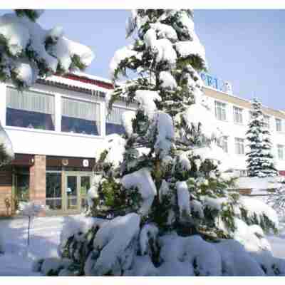 Panorama Ferien Hotel Harz Hotel Exterior