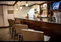 Holiday Inn ASHEVILLE - BILTMORE WEST by IHG - bar