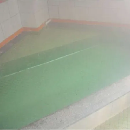 Date Prince Hotel Отели в г. Дате