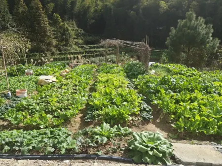 Yizhang Tanling Homestay (Mangshan Scenic Area) Отели рядом с достопримечательностью «Yazishi»