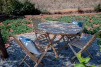 Gletwyn Boutique Guesthouse Hotels in Helensvale