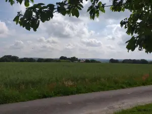 L'Appart