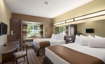 Microtel Inn & Suites by Wyndham Carrollton