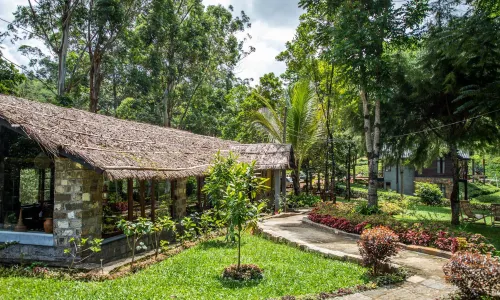 The Farm Resorts