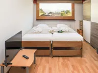 Rosablanche C25 Hotels in Conthey