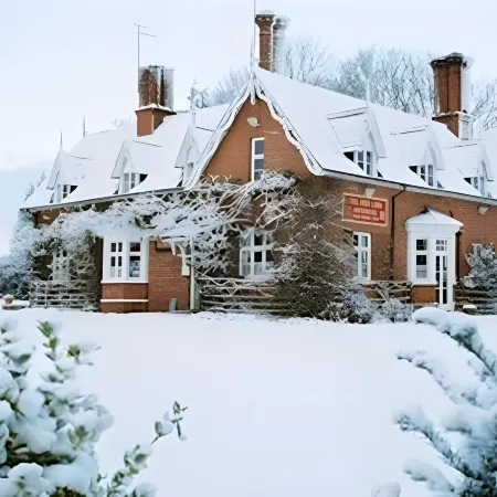 The Red Lion